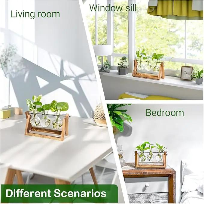 Ivolador I Plant Propagation Station, Bulb Plant Terrarium with Wooden Stand, Unique Gardening Gifts for Women, Hydroponic Indoor Planter, Home Office Garden Wedding Decor - 3 Bulb Glass Vases by GreenHaven Gardens