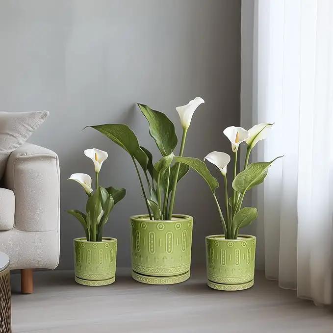 Ceramic Pot for Plants - 6 Inch Indoor Planter with Drainage Hole and Saucer, Round Decorative Flower Pots Outdoor, Boho Succulent Planter, Garden Home Decor, Gifts for Plant Lover, Green by GreenHaven Gardens