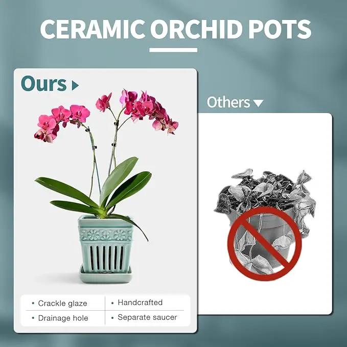 Orchid Pots with Holes | 5" Ceramic Orchid Planter with Separate Saucer and Drainage Holes | Crackle Glazed Pottery Small Flower Pot for Repotting Orchids（Blue） by GreenHaven Gardens