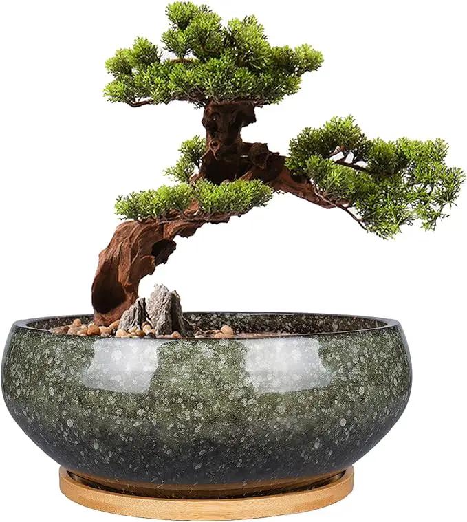 8 Inch Ceramic Bonsai Planter Pot, Glazed Shallow Succulent Planter with Drainage Hole and Bamboo Saucer for Indoor Plants, Green by GreenHaven Gardens