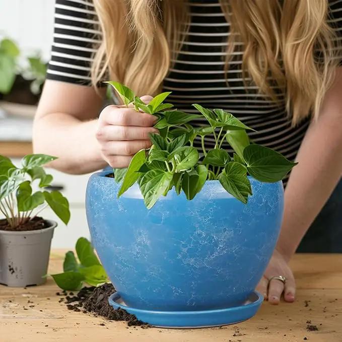 Ceramic Planter - 8 Inch Plant Pot with Drainage Hole and Saucer, Glaze Round Flower Pot for Home Garden Patio Office, Blue by GreenHaven Gardens