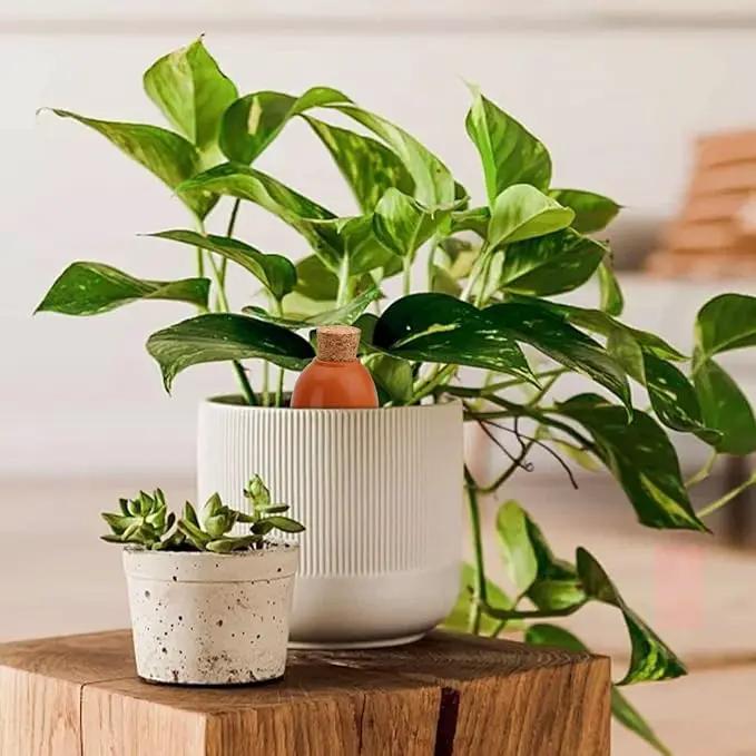 4 Pack Olla Watering Pot, Self Watering Globes 5.2oz Slow Release Terracotta Watering Spikes for Indoor Outdoor Plants, Easy to Refill Automatic Dripping Clay Bulbs Planter Insert (4.9" Tall, Cone) by GreenHaven Gardens