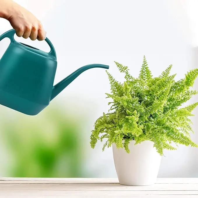 Fasmov Plastic Watering Can, 1-Gallon, Green by GreenHaven Gardens