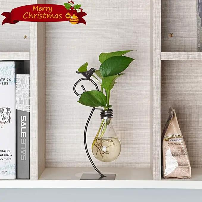 Marbrasse Desktop Glass Planter Hydroponics Vase,Planter Bulb Vase with Holder for Home Decoration,Modern Creative Bird Plant Terrarium Stand, Scindapsus Container (Bulb Vase) by GreenHaven Gardens