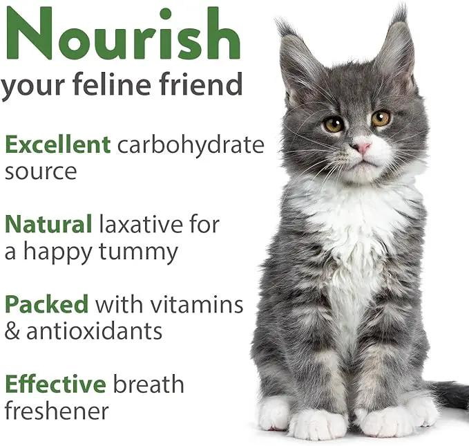 HOME GROWN 30,000+Cat Grass Seeds (6oz) 𝗡𝗢𝗡-𝗚𝗠𝗢 𝗨𝗦𝗔 Heirloom Barley & Oat Mix – Refill for Indoor Cat Grass Growing Kit – Safe Healthy Green Grass for Cats – Pet Grass for Eating & Digestion by GreenHaven Gardens