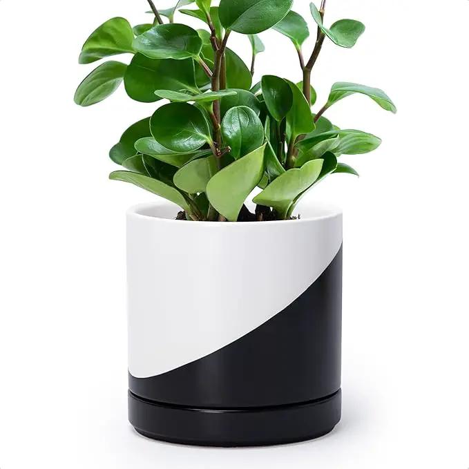 D'vine Dev 6.5 Inch Ceramic Planter Pot with Drainage Hole and Saucer, Indoor Cylinder Round Planter Pot, Oblique Monochrome Black and White, 94-O-C-K by GreenHaven Gardens