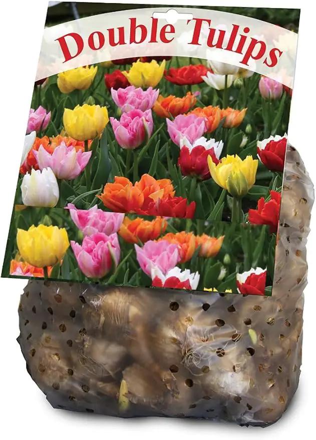 Double Tulip Mixture- 30 Perennial Tulip Bulbs by GreenHaven Gardens