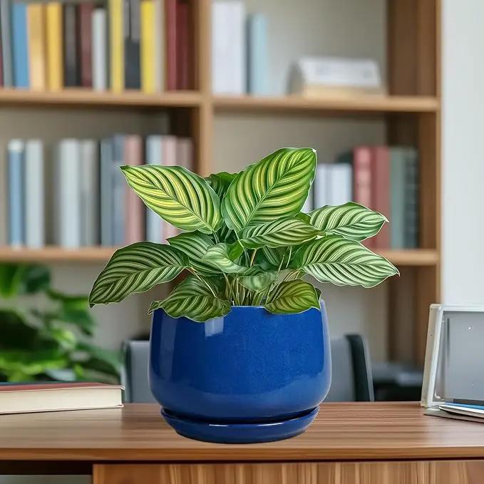 G EPGardening Round Ceramic Plant Pots - 7 Inch Modern Planter with Drainage and Plant Saucer for Indoor Outdoor Flower, Round Office Decor, New Gifts for Home, Blue by GreenHaven Gardens