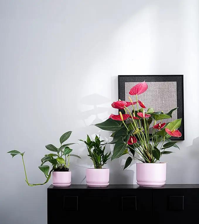 Ton Sin Plant Pots, 4.1+5.1+6.5 inch, Set of 3, Ceramic Planters with Drainage Hole and Saucer, Indoor Flower Pot with Hole Mesh Pad, Gifts for Mom(Matte Pink) by GreenHaven Gardens