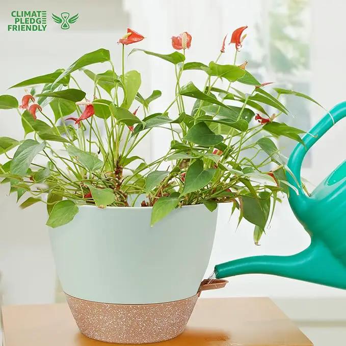 12 inch Large Self Watering Plant Pots, Flower Pots Planters with Multi Mesh Drainage Holes for Indoor Outdoor Garden Plants and Flowers by GreenHaven Gardens