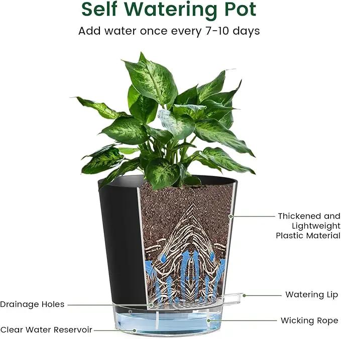 4 inch Self Watering Pots for Indoor Plants, 5 Pack Small Flower Plant Pots with Drainage Holes and Clear Reservoirs, Visible Water Level, Plastic Planters with Wicking Rope, Black by GreenHaven Gardens