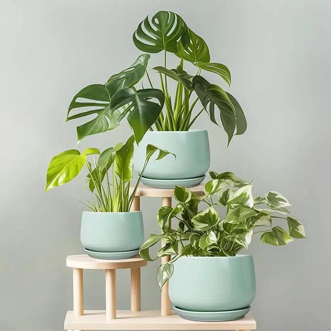 G EPGardening Ceramic Plant Pots - 7 Inch Planter for Indoor Outdoor Plants, Ceramic Planter with Drainage and Saucer, Round Modern Flower Pots, House Decor, Gift for Men Women, Green by GreenHaven Gardens