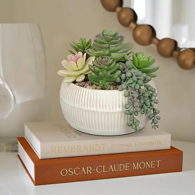DILATATA Artificial Succulent Plants in Pot 5.5 Inch Fake Succulents Arrangement Potted Plant in White Ceramic Planter Bowl for Home Office Desk Shelf Living Room Bedroom Bathroom Decor by GreenHaven Gardens