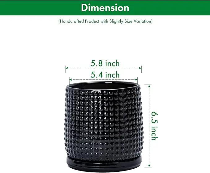 D'vine Dev 6 Inch Ceramic Beaded Stoneware Planter Pot - Flower Pot with Drainage Holes and Saucers for Indoor Succulent Plants or Flowers, Glossy Black, 27-C-X-2 by GreenHaven Gardens