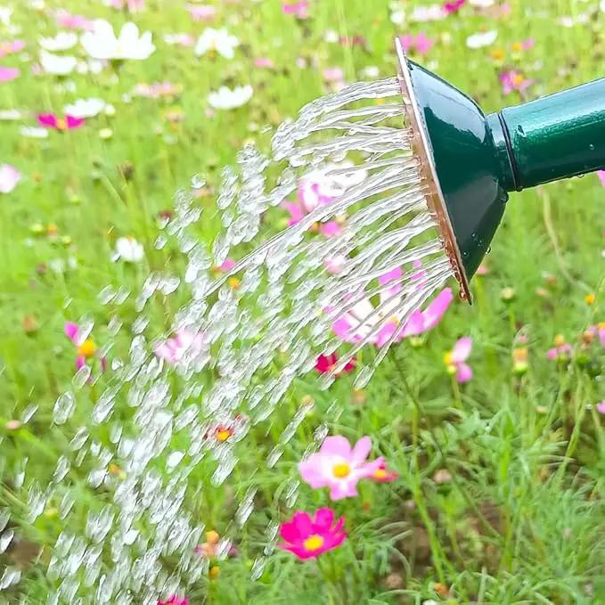 Metal Watering Can for Outdoor and Indoor Plants, Watering Can Decor, 1 Gallon (NewGreen) by GreenHaven Gardens
