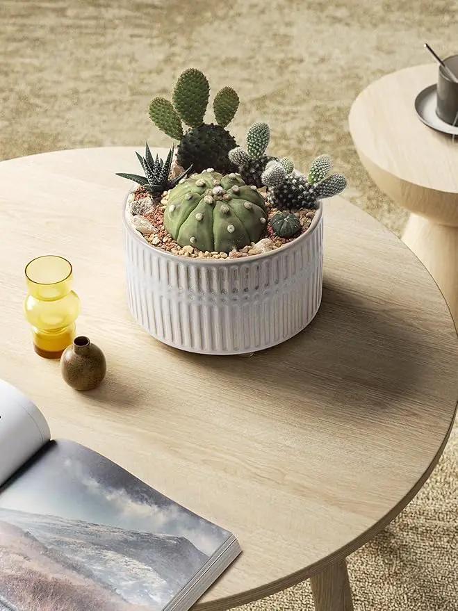 LE TAUCI Succulent Pots, 6.5+8 Inch Ceramic Indoor Plant Pot with Drainage Hole, Modern Round Decorative Flower Pot, Set of 2, Reactive Glaze Star White by GreenHaven Gardens