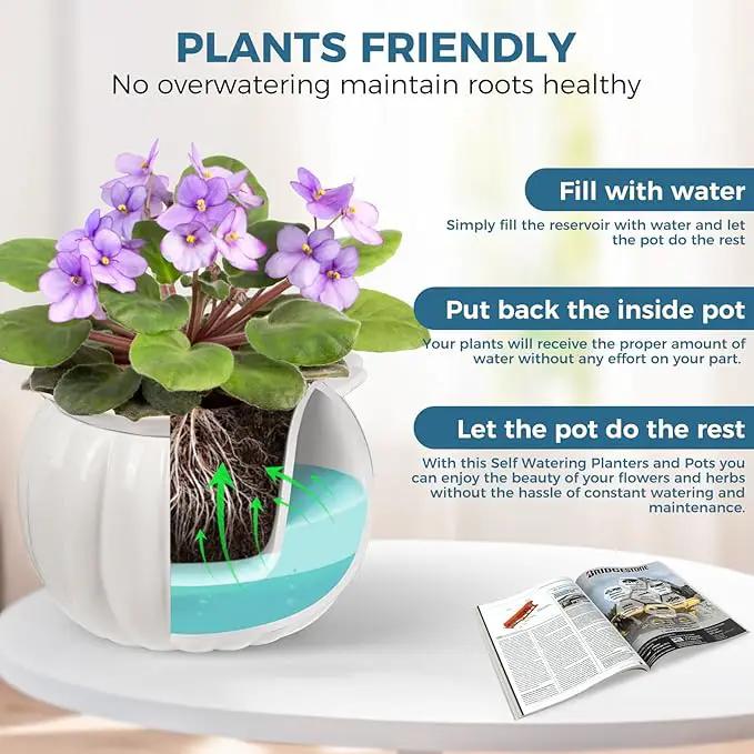 African Violet Pots, 6 inch Pumpkin-Style Ceramic Easy Self Watering Plant Pot for Busy Plant Lovers, Automatically Absorb Appropriate Amount of Water, Flower Pot Indoor-Plants Not Included by GreenHaven Gardens