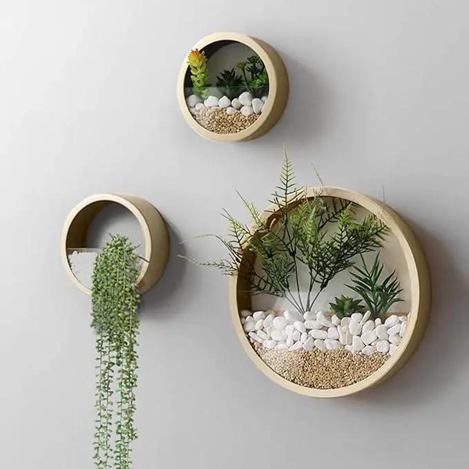 3 Pack Set Wall Planters,Modern Round Glass Wall Planter Succulent Planter Circle Iron Hanging Planter Vase for Herb,Small Cactus Perfect for Balcony, Room and Patio Decor (Gold) by GreenHaven Gardens