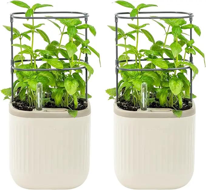 Vego garden Mini Planter Indoor Pots with Trellis Self-Watering Herb Countertop Planter for Climbing Vegetables Flowers Mint Plants Cage 2 Pack- Cream White by GreenHaven Gardens