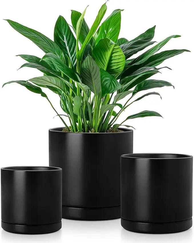 vancasso Ceramic Plant Pots, 3 Piece Planters for Indoor Plants, 4.25+5.25+6.25 Inch Flower Pots with Drainage, Plant Pots Indoor for Succulent, Pothos, Snake Plant and Money Tree, Etc (Black) by GreenHaven Gardens
