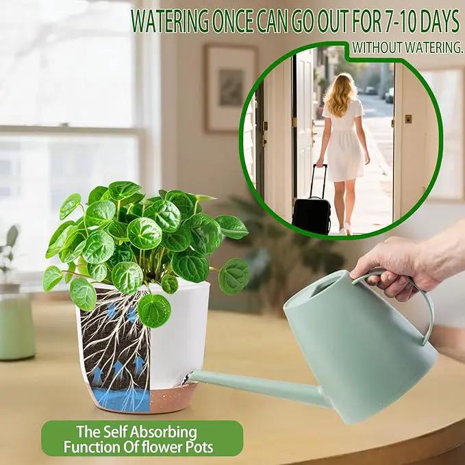 7.2 Inch Self Watering Orchid Pots for Indoor Plants,Macetas para Orqudeas,Flower Pots for Indoor Plants with Holes(White) by GreenHaven Gardens