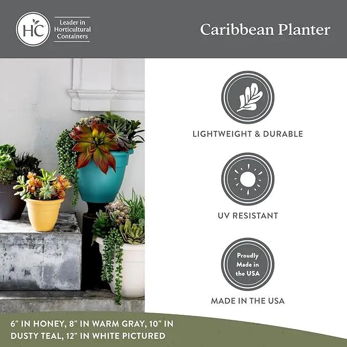 The HC Companies Caribbean Planter Pot - Outdoor & Indoor Plant Pot with Drainage Hole & Plug - Rolled Rim Plastic Pots for Plants & Flowers - Decorative Plant Pot (10" Clay, Pack of 2) by GreenHaven Gardens