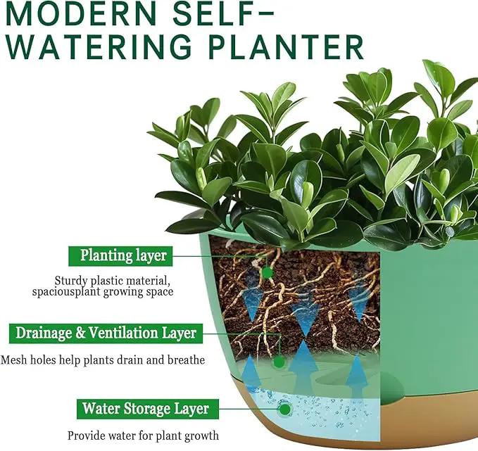 8 Inch Pots for Indoor Plants, Self Watering Planters with Drainage and Saucers, Plastic Outdoor Flower Pot, Set of 2, Green by GreenHaven Gardens