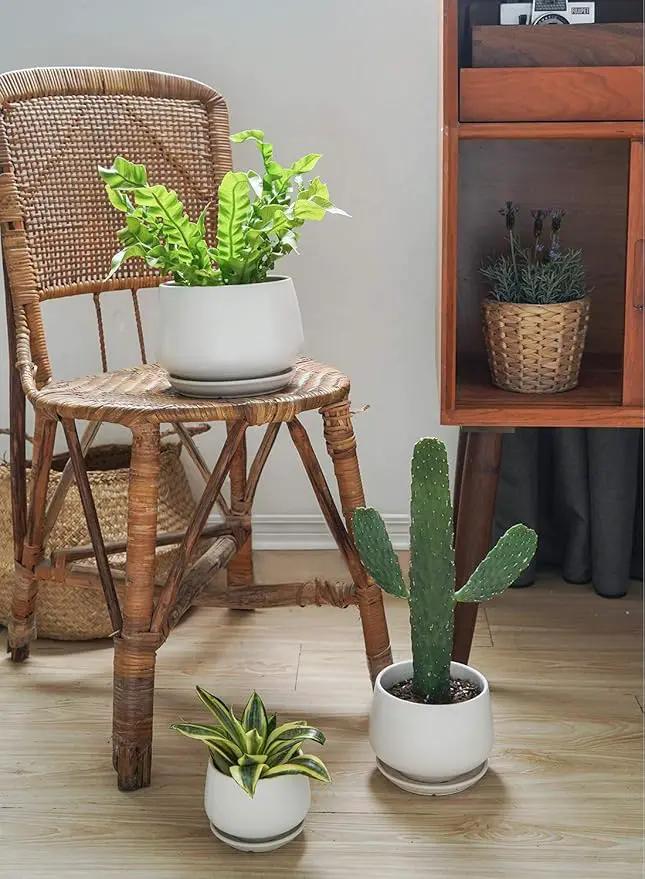 LE TAUCI Ceramic Plant Pots, 4.1+5.1+6.5 inch, Set of 3, Planters with Drainage Hole and Saucer, Indoor Flower Pot with Hole Mesh Pad, Gifts for Mom, White by GreenHaven Gardens