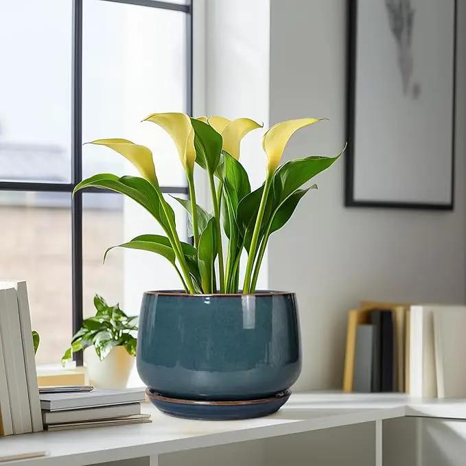 G EPGardening Ceramic Plant Pots - 9 Inch Round Modern Planter Indoor with Drainage and Tray for Indoor Outdoor Flower, Office Decor, Gardening Gifts, Retro Blue by GreenHaven Gardens