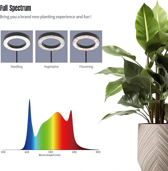 GLOWRIUM Indoor Grow Light, 40 Watt Full Spectrum LED Plant Growth Light with Stand, Adjustable Height with Timer 3/9/12 hrs, Black LED Plant Lamp by GreenHaven Gardens