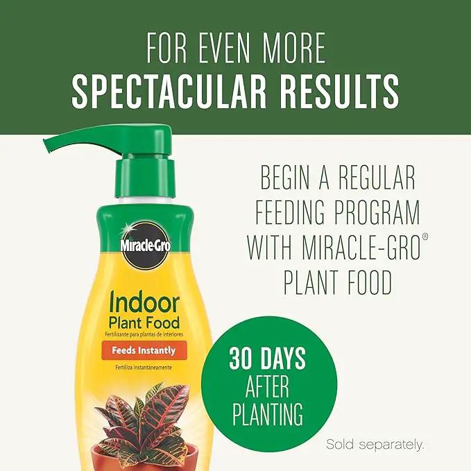 Miracle-Gro Houseplant Potting Mix, for Indoor Container Plants, Feeds for up to Six Months, 4 qt. (3-Pack) by GreenHaven Gardens