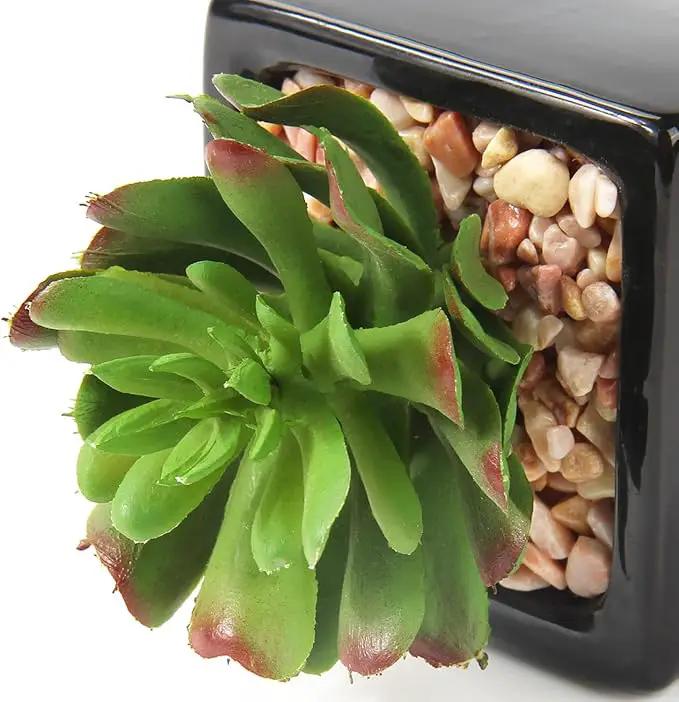 Hollyone Small Succulents Artificial 3 Pcs Faux Succulents in Pots Fake Succulent Plants with Black Ceramic Pots for Modern Home Office Desk Bathroom Shelf Living Room Decor by GreenHaven Gardens