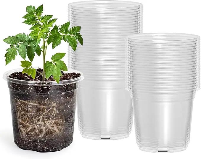 50 Packs 4 Inch Reinforced Clear Nursery Pots with Drainage Hole, Transparent Variety Pack Plastic Plant Pot Seedling Planter Seed Starter Flower by GreenHaven Gardens