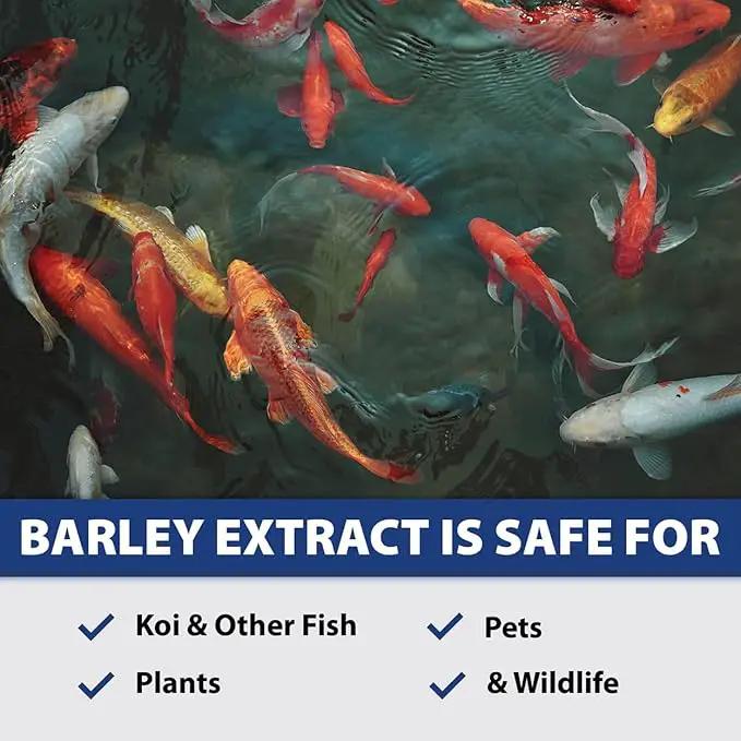 The Pond Guy Barley Extract Natural Liquid Treatment for Ponds and Water Gardens, Safe for Koi Fish and Plants, Natural Solutions for Clear Pond Water - 32 Ounces by GreenHaven Gardens