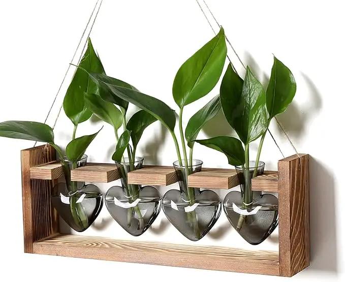 Plant Propagation Stations Heart Plant Terrarium Kit Gift for Women Plant Lover Glass Vases by GreenHaven Gardens
