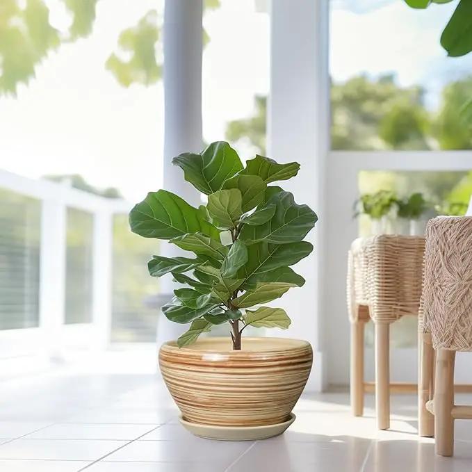 Ceramic Pot for Plants - 13 Inch Planter for Outdoor Plants Indoor Plant Pot with Drainage Hole and Saucer Large Planter Round Flower Pot for House Patio Garden Decor Yellow by GreenHaven Gardens