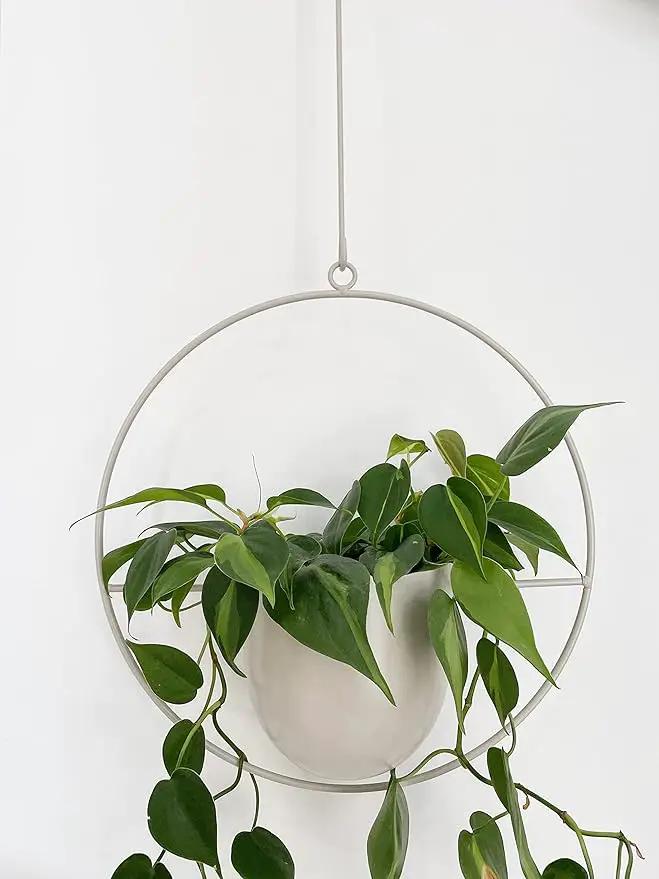 Boho White Metal Plant Hanger,Metal Wall and Ceiling Hanging Planter, Modern Planter, Mid Century Flower Pot Plant Holder, Minimalist Planter for Indoor Outdoor Home Decor… by GreenHaven Gardens