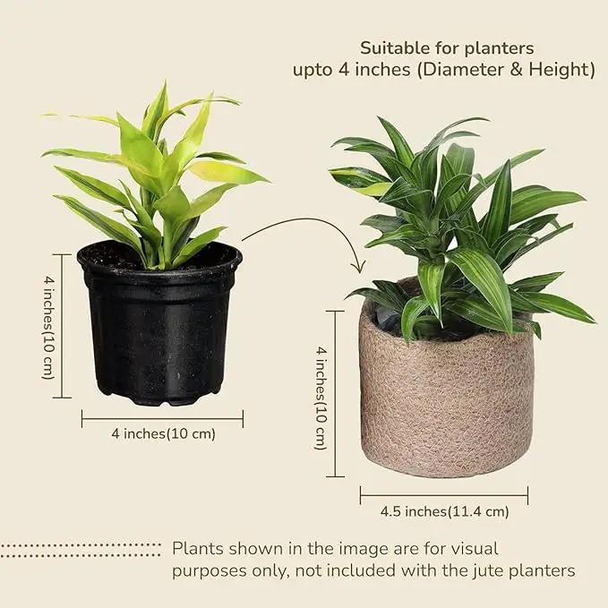 Jute Planter Basket-Woven Jute Rope Covers for Decorating Indoor/Outdoor Succulents, Small Plant Pots-Set of 3-Multi-Purpose Storage Bins 4.5 Inches -Modern Style Decor -Natural Jute by GreenHaven Gardens