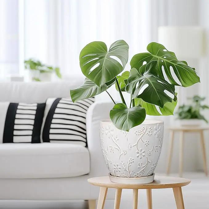 8 Inch Ceramic Pots for Plants Large Planter Pot with Drainage Hole and Saucer Round Flower Pot for Indoor Outdoor Decor, White by GreenHaven Gardens