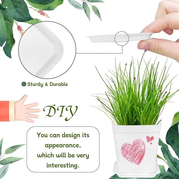 OJYUDD 72 Pcs 3 Inch White Square Plastic Pots with Saucer,White Plastic Plant Seedling Pots,Seedling Nursery Pots Indoor Outdoor for Succulents/Plant,Garden,Office and Balcony Decor by GreenHaven Gardens