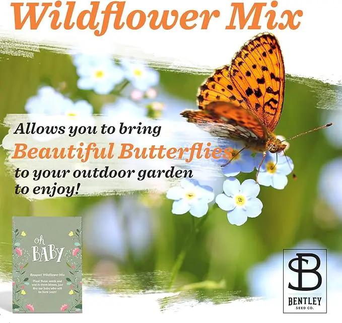 BENTLEY SEED CO. Oh Baby Seed Packets|Girl or Boy Baby Shower Favors for Guests | 25 Wildflower Seed Packets | Pre-Filled | Bouquet Wildflower Mix | Non-GMO Seeds | Gender Neutral | Eco-Friendly Gift by GreenHaven Gardens