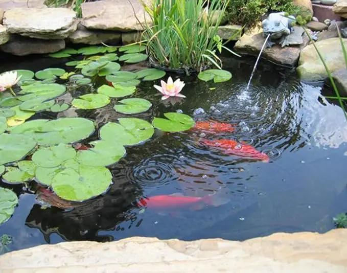 Pond Liner, 20 Mil 7 x 10 Feet Pond Liners for Outdoor Ponds, Black LDPE Fish Pond Liner for Small Ponds, Streams Fountains and Garden Waterfall by GreenHaven Gardens