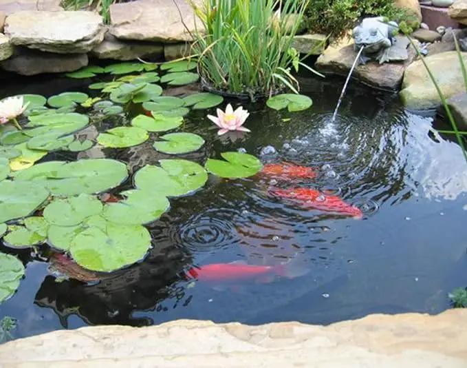 10 x 13 Feet Pond Liner, 20 Mil Pond Liners for Outdoor Ponds, Black LDPE Pond Liner for Waterfall, Fish Koi Ponds, Garden Fountain by GreenHaven Gardens