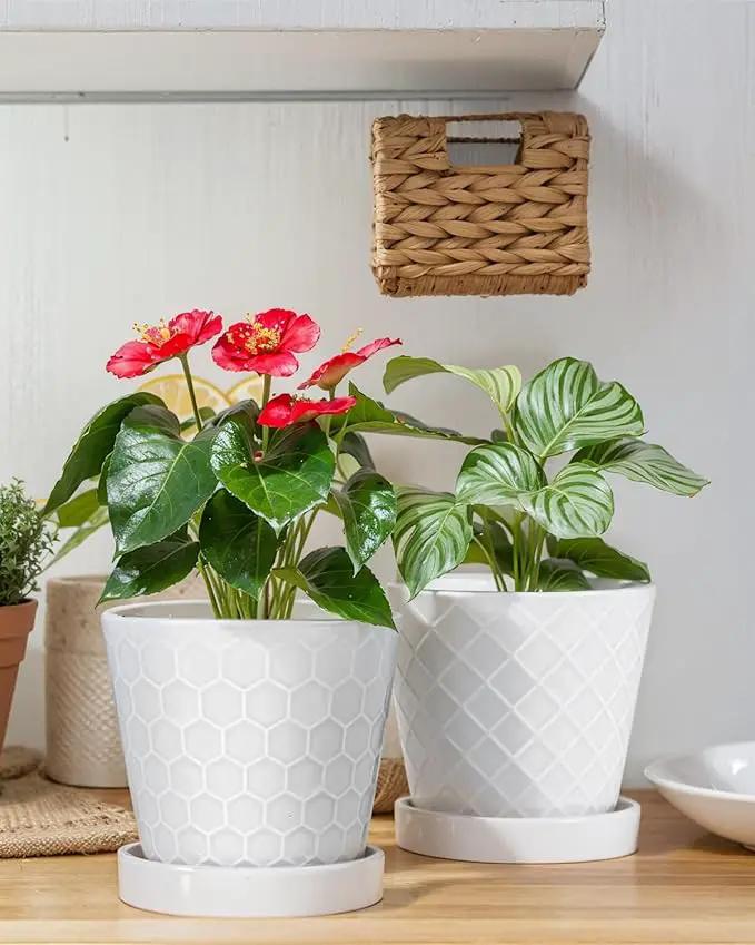 EFISPSS Flower Planter –5 inch Ceramic Plant Pots with Drainage Holes and Ceramic Tray - Gardening Home Desktop Office Windowsill Decoration Gift Set of 4 - Plants NOT Included (White) by GreenHaven Gardens