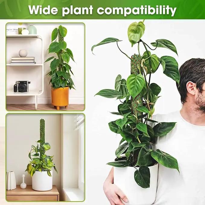 DUSPRO Self-Watering Natural Green Forest Moss Pole, Easy to Use Moss Sticks for Indoor Plants, Climbing Plant Support Stake with Self-Watering Feature, Moss Pole Monstera Plant Support 2pcs 23'' by GreenHaven Gardens