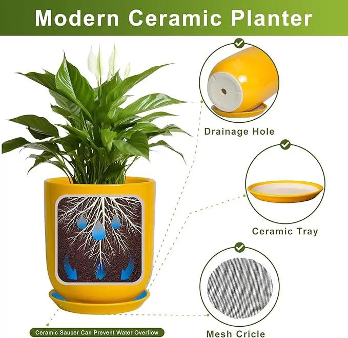 Ceramic Pot for Plants - 10 Inch Plant Pot Indoor with Drainage Hole and Saucer Large Planter for Outdoor Plants Cylinder Decorative Flower Pot Yellow by GreenHaven Gardens