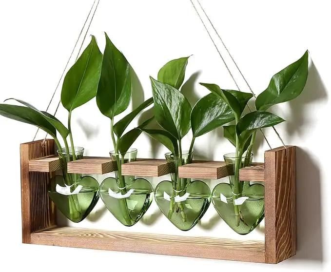 Plant Propagation Stations Heart Plant Terrarium Kit Gift for Women Plant Lover Glass Vases by GreenHaven Gardens