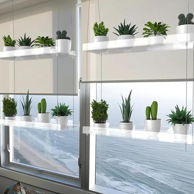 2-Tier Hanging Clear Plant Shelves for Windows, Acrylic Window Wall Plant Stand Shelf for Kitchen Indoor Gardens, Flower, Succulents, Herb, Seedling Organization, and Pots Display, 16 Inch per Tier by GreenHaven Gardens