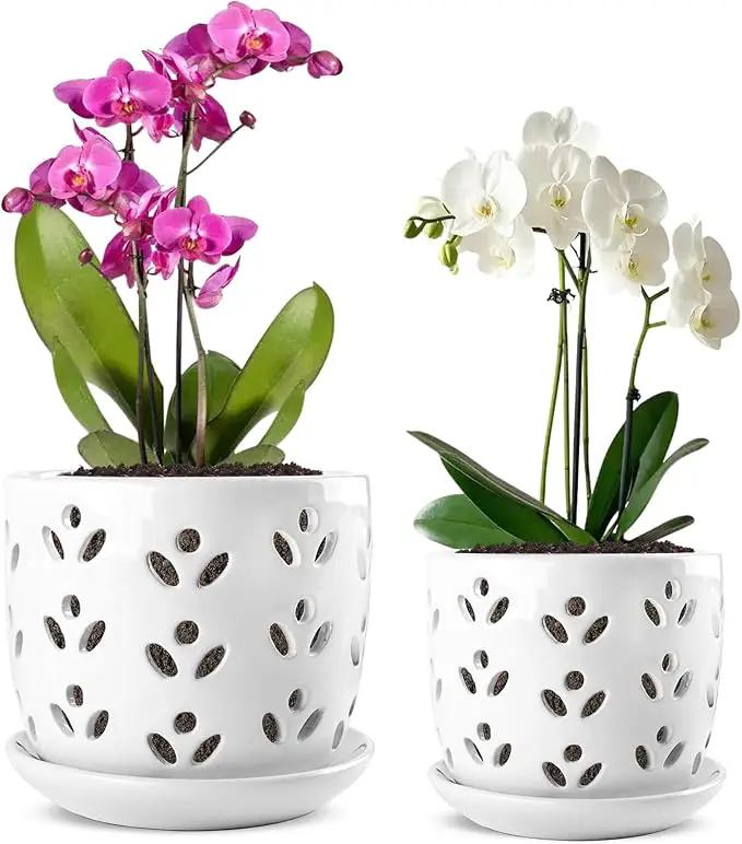 REMIAWY Orchid Pot, 2 Pack Orchid Pots with Drainage Holes and Saucer, 6 Inch and 5 Inch Large Ceramic Planter for Repotting Indoor Plants, Succulent, Decorative, Good Air Circulation, White by GreenHaven Gardens