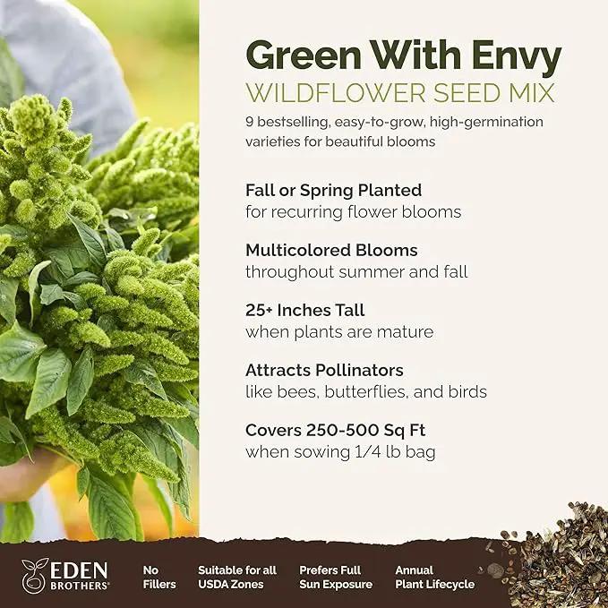 Eden Brothers Green with Envy Flower Mixed Seeds for Planting, 1/4 lb, 120,000+ Seeds with White Yarrow, Cornflower White | Attracts Pollinators, Plant in Spring or Fall, Zones 3, 4, 5, 6, 7, 8, 9, 10 by GreenHaven Gardens